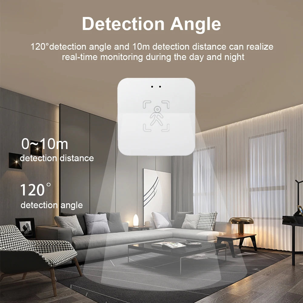 Wi-Fi Human Presence Sensor, mmWave Radar Motion & Static Detection with Light Sensor