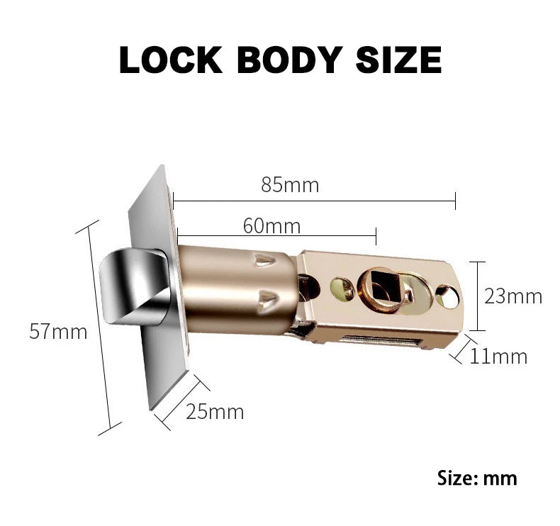 M6 Smart Lock with Handle