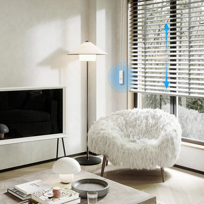 MOES Smart Blinds Motor – Automate Your Blinds