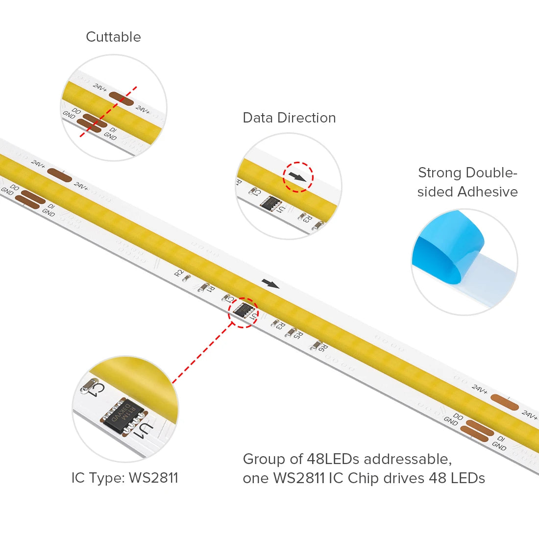 24V FCOB IC CCT LED Strip Light with Chasing and Dynamic Warm-to-Cool White Effects