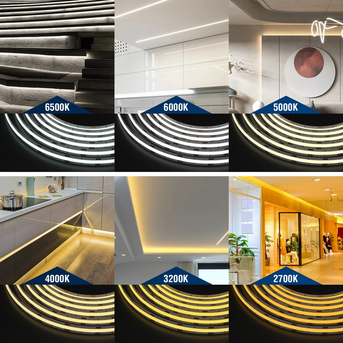 24V FCOB IC CCT LED Strip Light with Chasing and Dynamic Warm-to-Cool White Effects