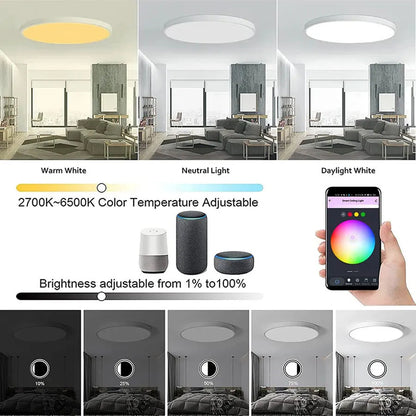 Smart RGB Ceiling Light - Change Your Room Color From Your Phone