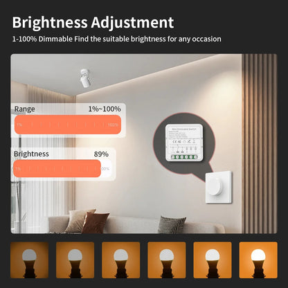 TNCE Smart Dimmer Module – Dimming Without Changing Your Switch