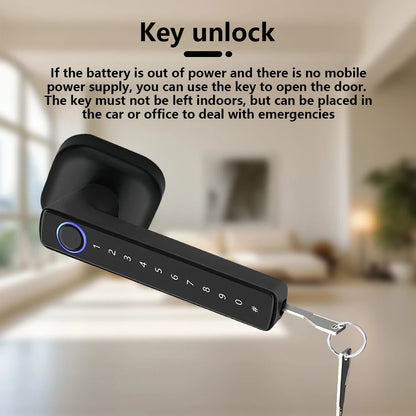 M6 Smart Lock with Handle