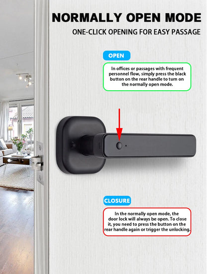 M6 Smart Lock with Handle