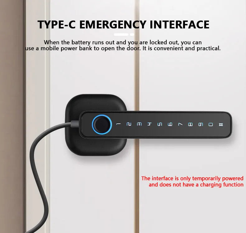 M6 Smart Lock with Handle