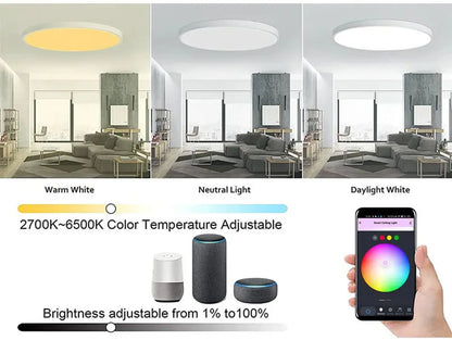 Smart RGB Ceiling Light - Change Your Room Color From Your Phone