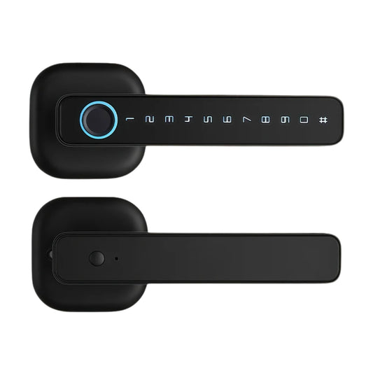 M6 Smart Lock with Handle