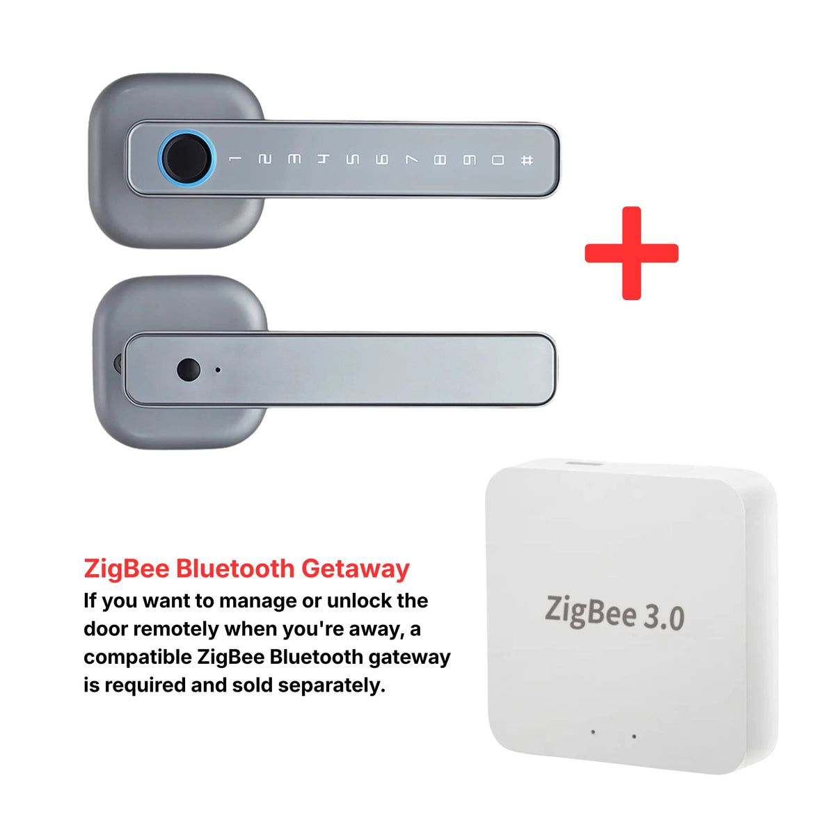 M6 Smart Lock with Handle