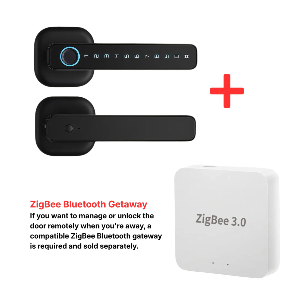 M6 Smart Lock with Handle