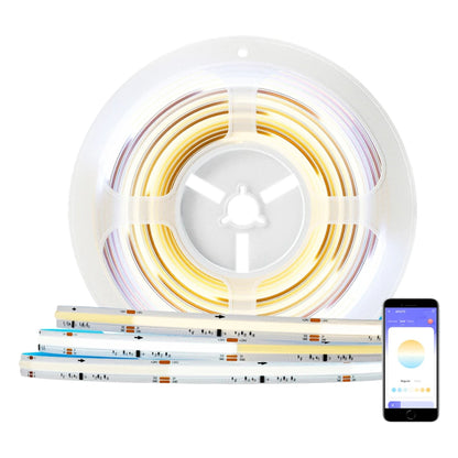 24V FCOB IC CCT LED Strip Light with Chasing and Dynamic Warm-to-Cool White Effects