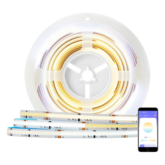 24V FCOB IC CCT LED Strip Light with Chasing and Dynamic Warm-to-Cool White Effects