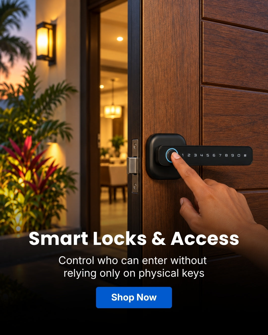 Smart Locks & Access Control Systems