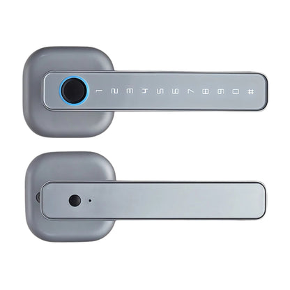 M6 Smart Lock with Handle